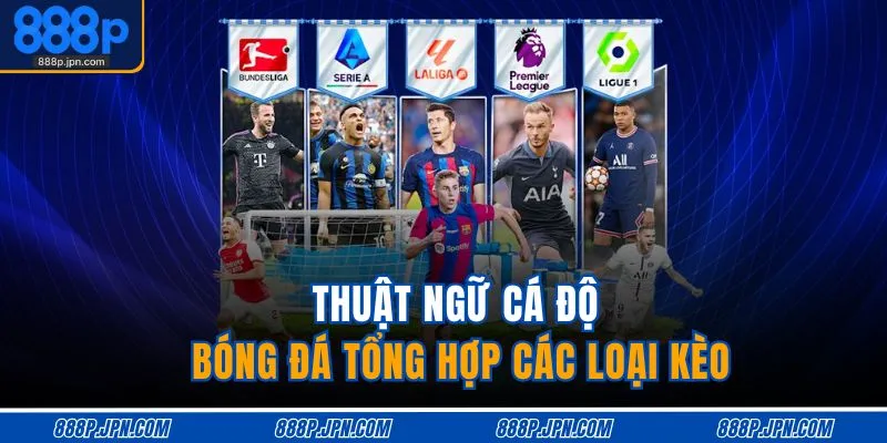 Thuật ngữ cá độ bóng đá tổng hợp các loại kèo